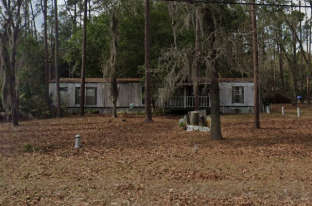 3494 Devilwood Street, Middleburg, FL